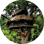 Gibbon Experience au Laos