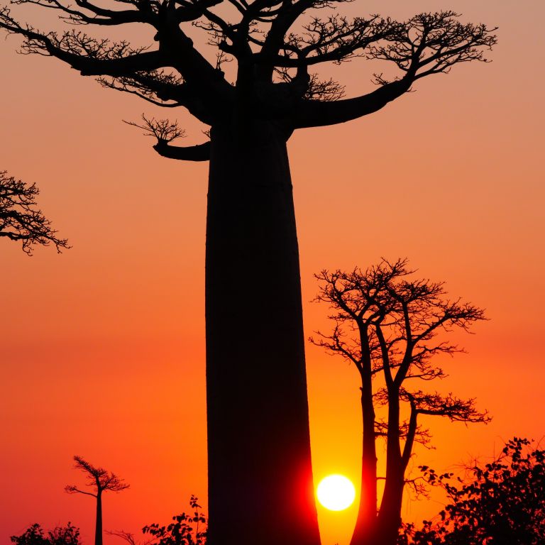Madagascar Autrement