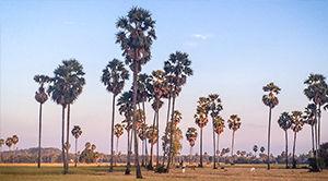 Etapes autrement cambodge