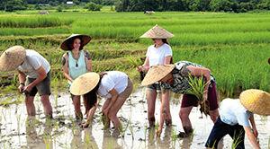 Laos famille