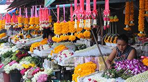 Chiang_mai_thailande