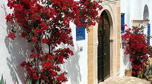 Tunisie conseils