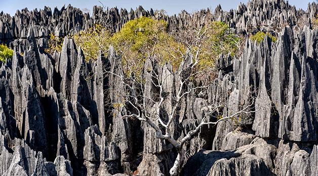 Tsingy Madagascar