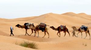 tunisie sud voyage