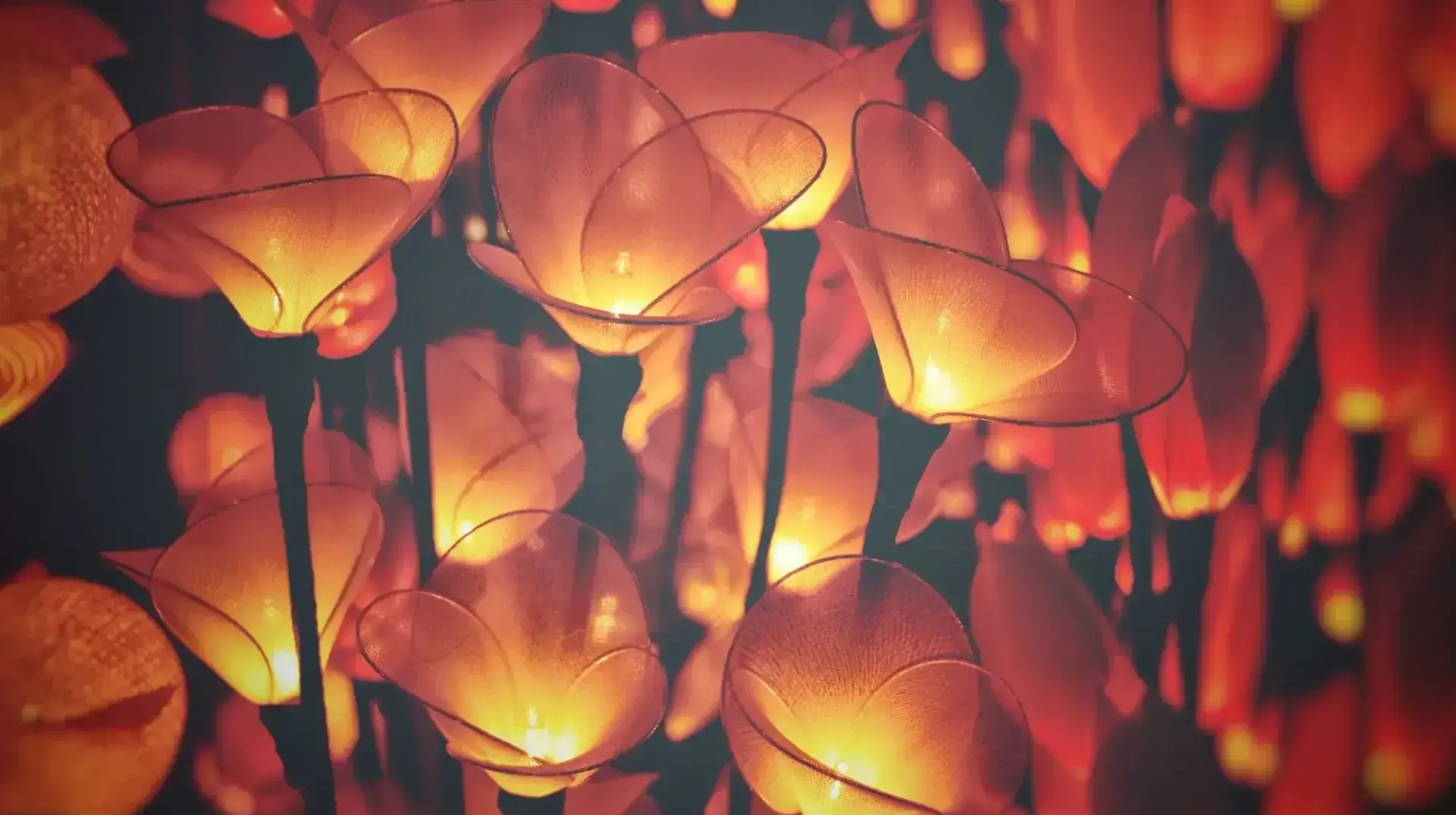 Lanternes en forme de fleurs rouges durant la fête des lumières au Laos